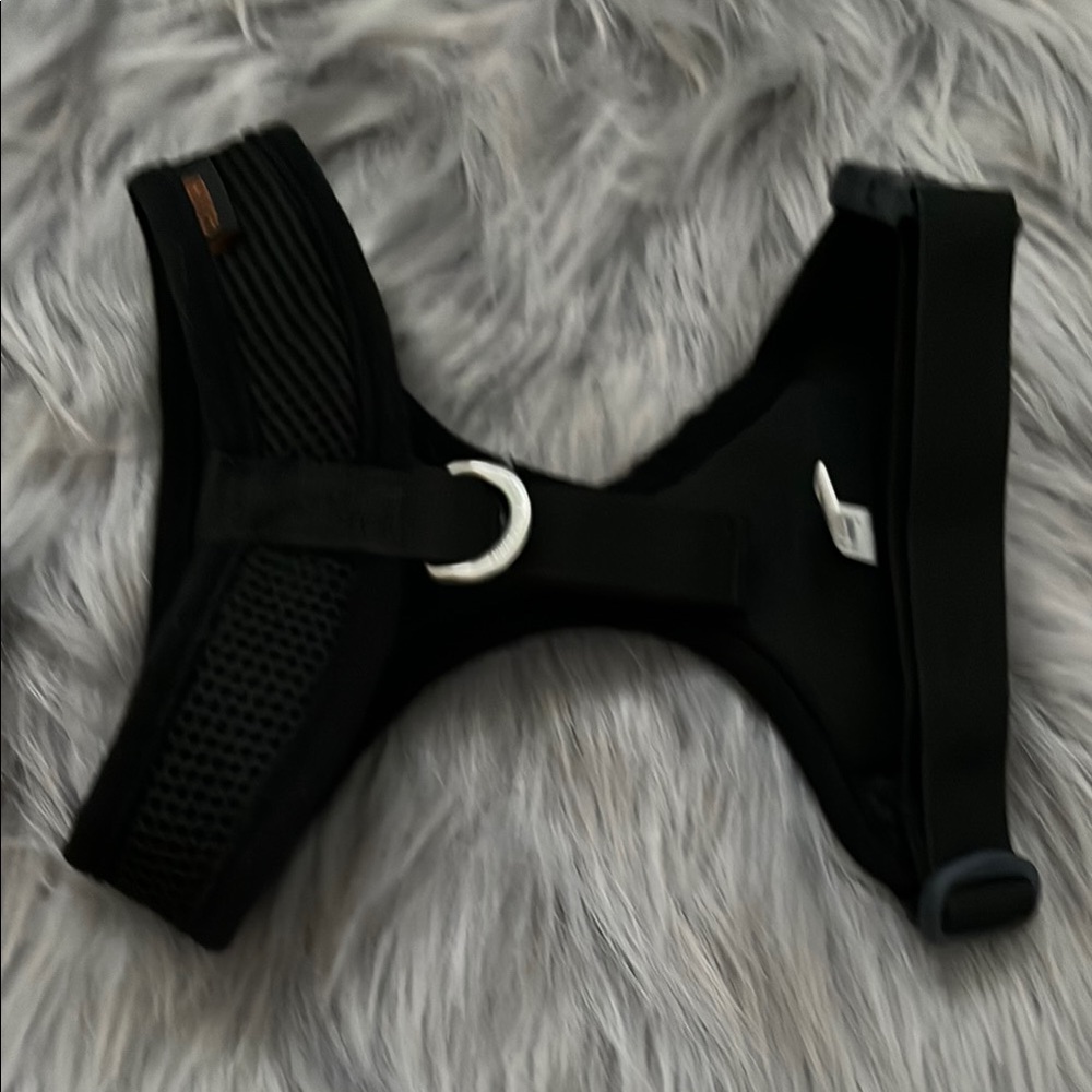 Black Dog Harness with Logo